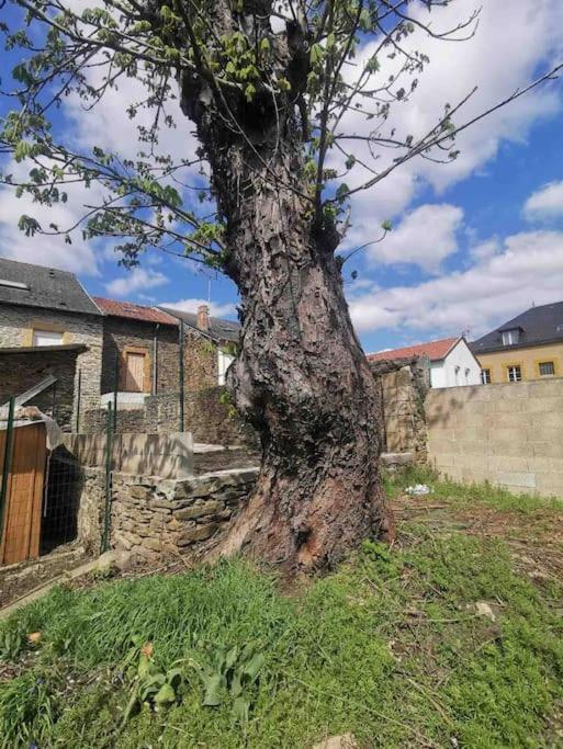 La Cascade Verte /Appartement /Jardin /Parking Braux (Ardennes) Exterior foto